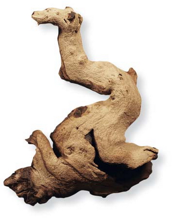 коряга для аквариума фото